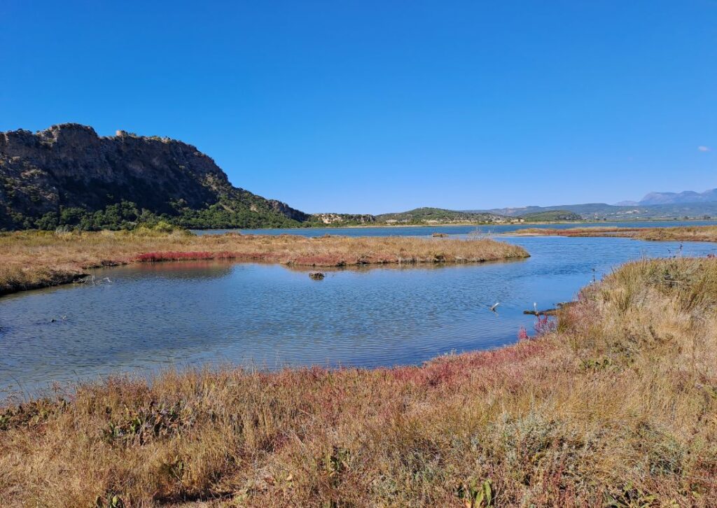 View of Gialova Lagoon wetlands with calm water, coastal vegetation, and hills in the background near Pylos in the Peloponnese, Greece.