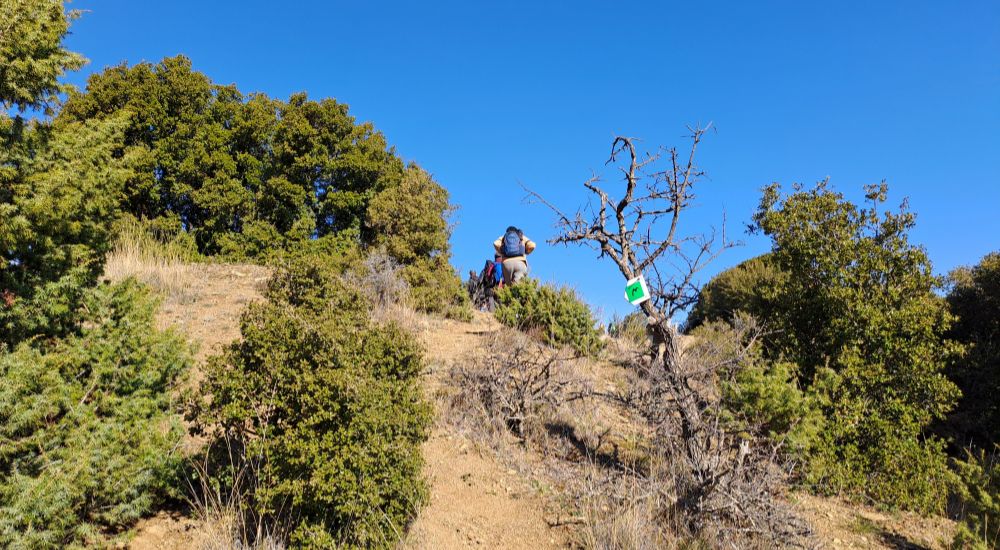 Menalon Trail 5
