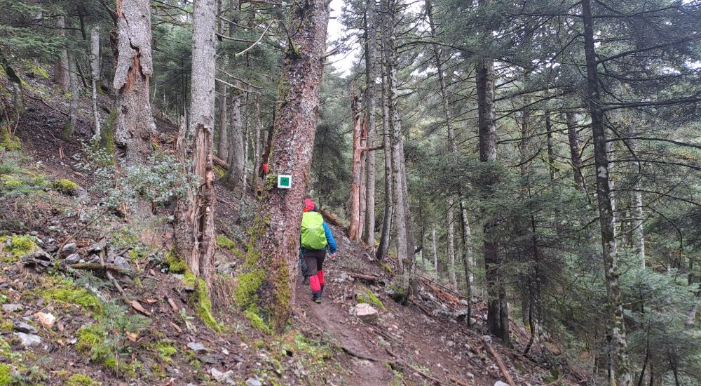 Mernalon trail 6 Peloponnese