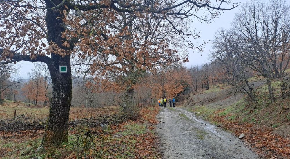 Hikers in Menalon trail 6 Peloponnese