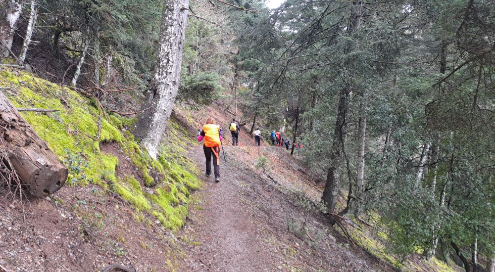 Hikers walking along a forest path on Menalon Trail 6 from Nymfasia to Magouliana in the mountains of Arcadia, Greece.