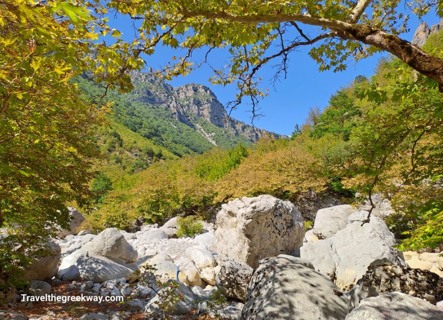 Scenic view of Vikos Gorge in Zagori, Greece, with lush green trees, rocky terrain, and towering mountains under a clear blue sky.