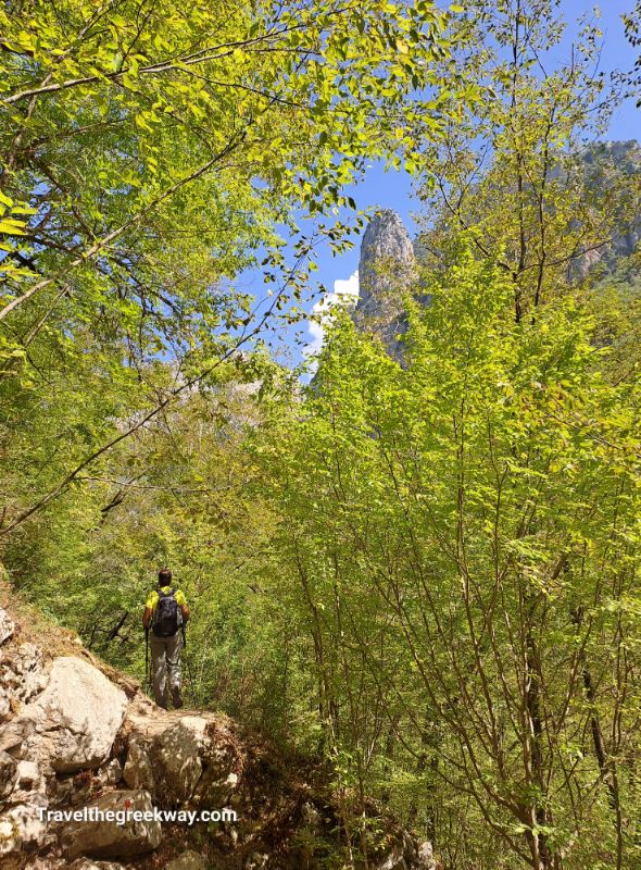 Breathtaking panoramic view of the impressive Vikos Gorge landscape.