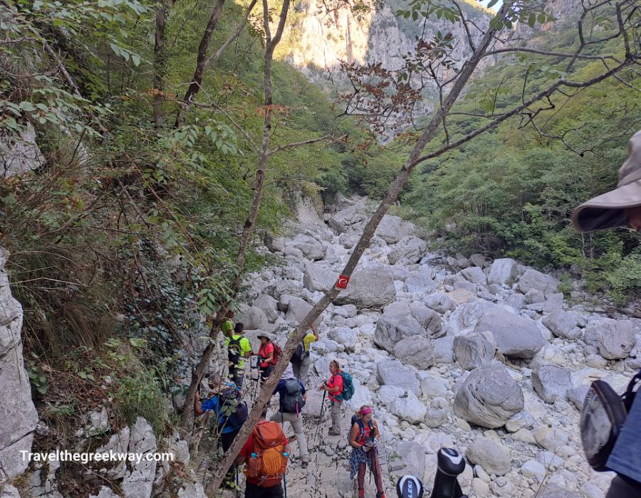 Enthusiastic hikers exploring the trail surrounded by towering trees in Vikos Gorge.