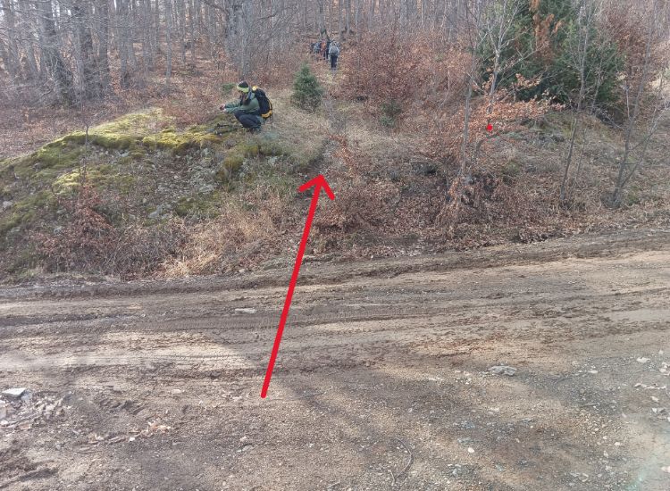 An arrow showing the direction of a trail in a forest in Paiko mountain norhern Greece. 
