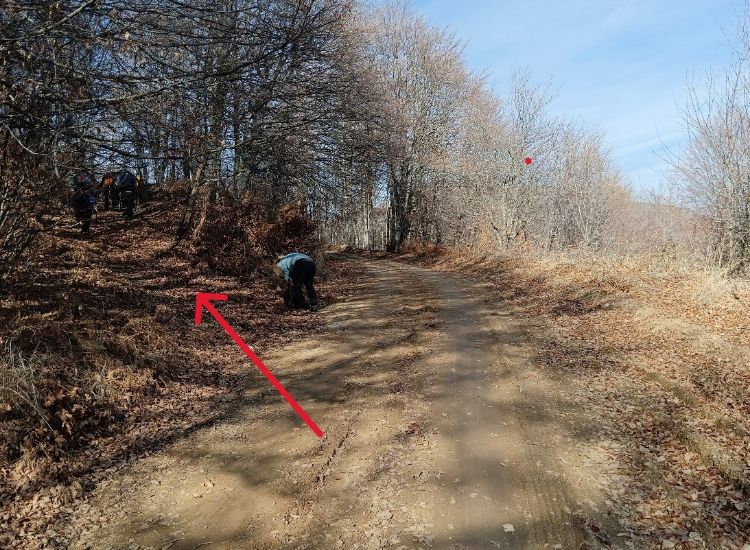 An arrow showing the direction of a trail in a forest in Paiko mountain norhern Greece. 