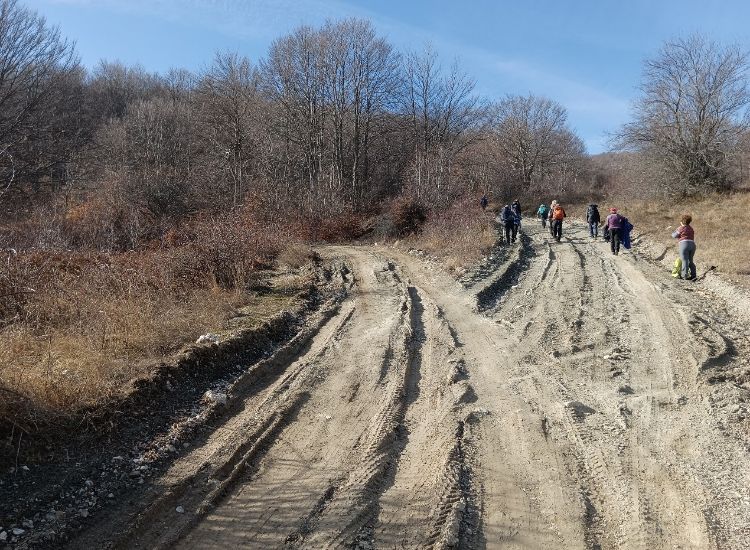 A scenic view of two dirt roads diverging in a lush landscape. Hikers are seen strolling along the right path, surrounded by the beauty of nature, as the trails offer choices for exploration and adventure toward Paio to Gola Tsouka peak. 