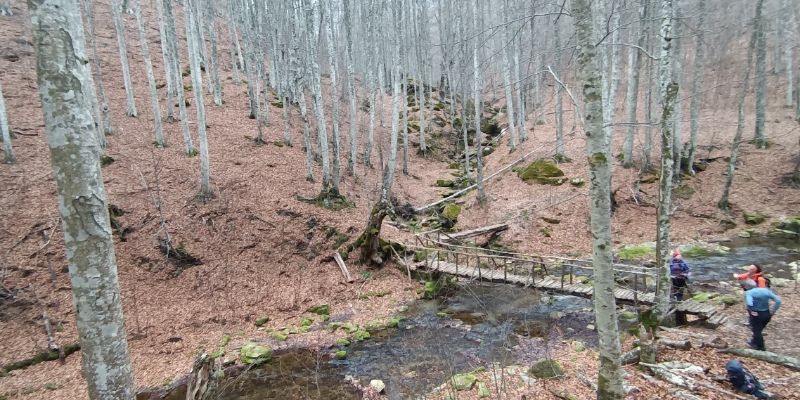 Hikers about to cross a wooden bridge ver a stream on Paiko mount in Greece. 