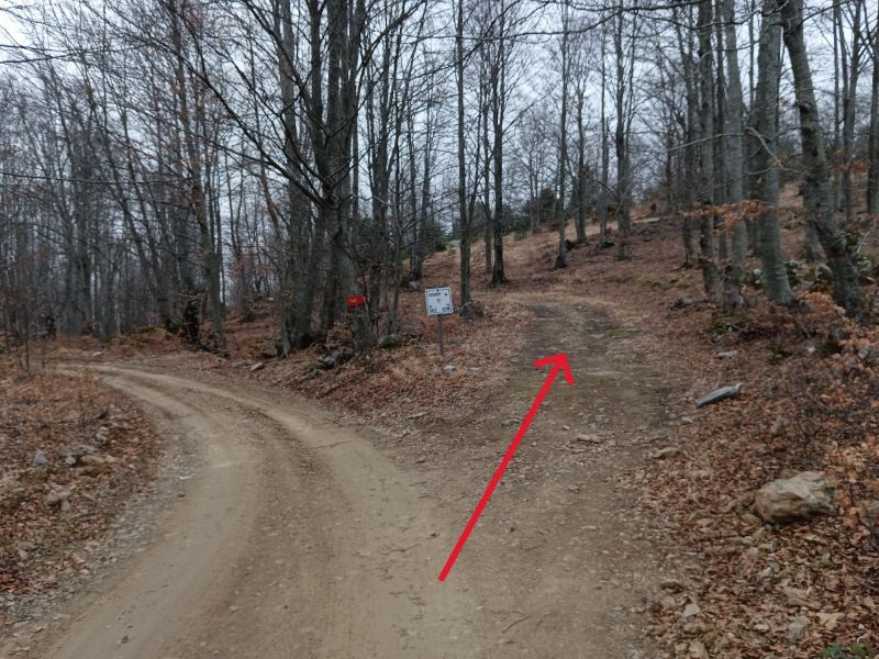 A red arrow indicatiing a dirt trail on a hike in Paiko mountain northern Greece.