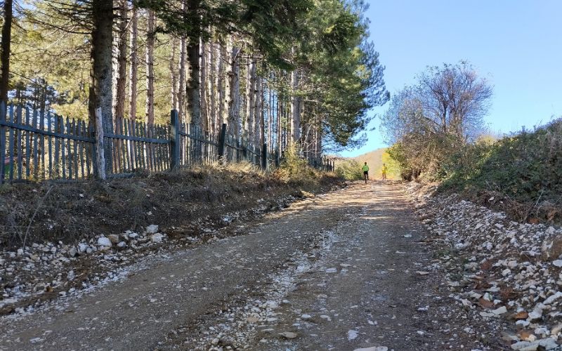 Semi marathon Runners on a track in Paiko mountain Greece. 