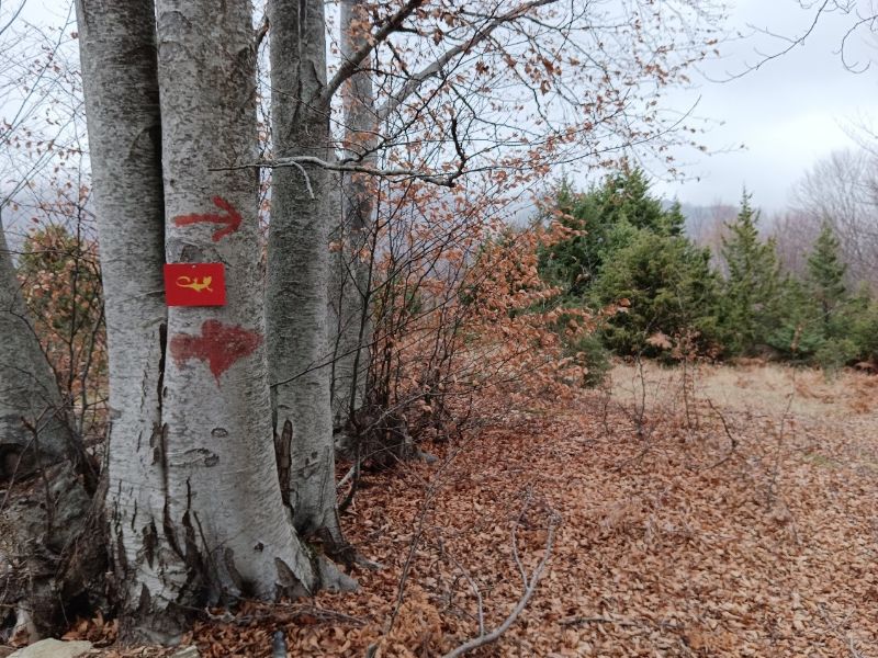 Red signs and a yellow salamander sign for a hiking trail in Paiko mountain Greece. 