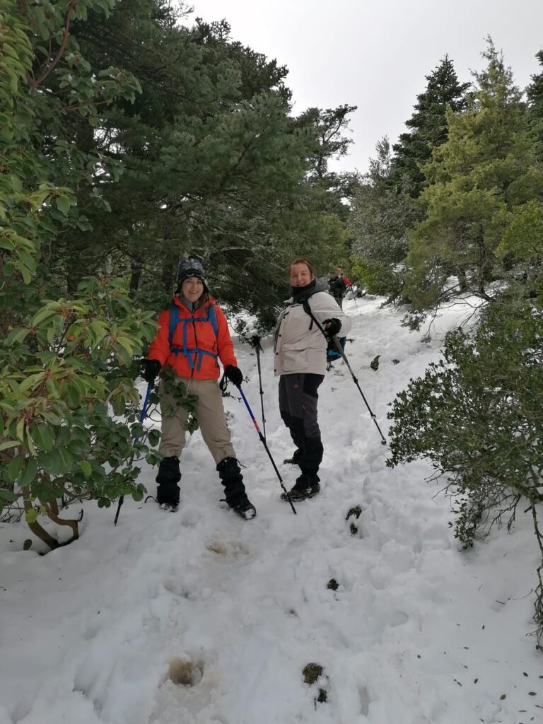 Hikers on a snowy trail in a forested area, wearing winter gear and using trekking poles, with trees and snow-covered terrain around them.