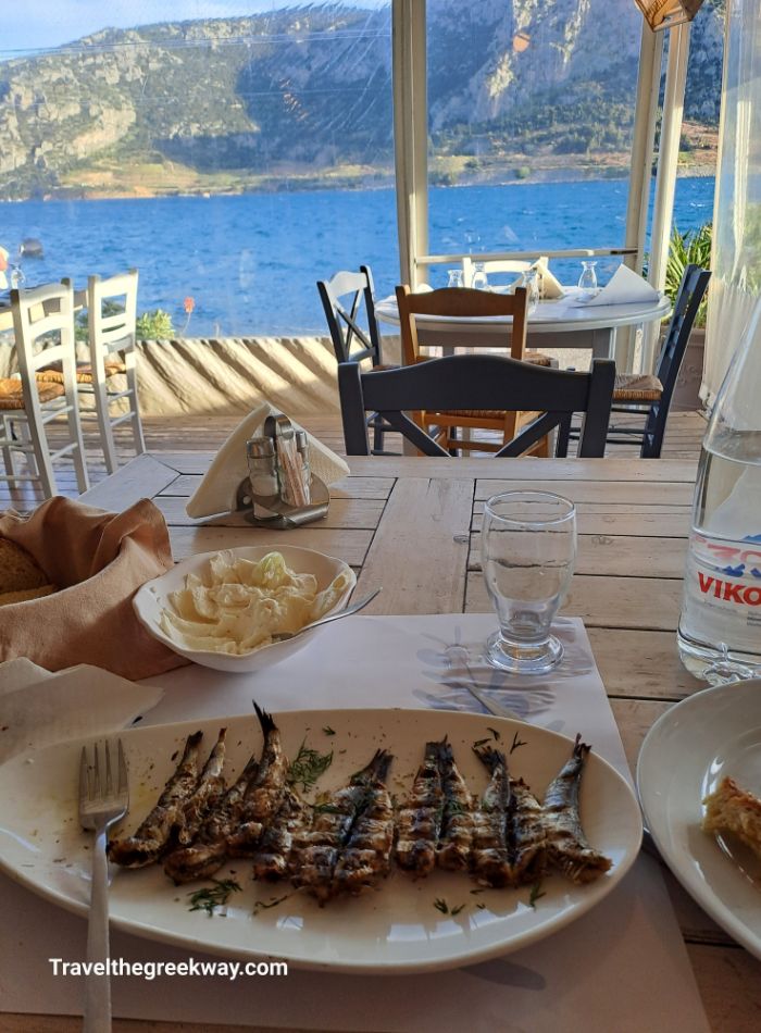A plate of grilled fish on a table with a scenic view of the sea and mountains from a restaurant window.