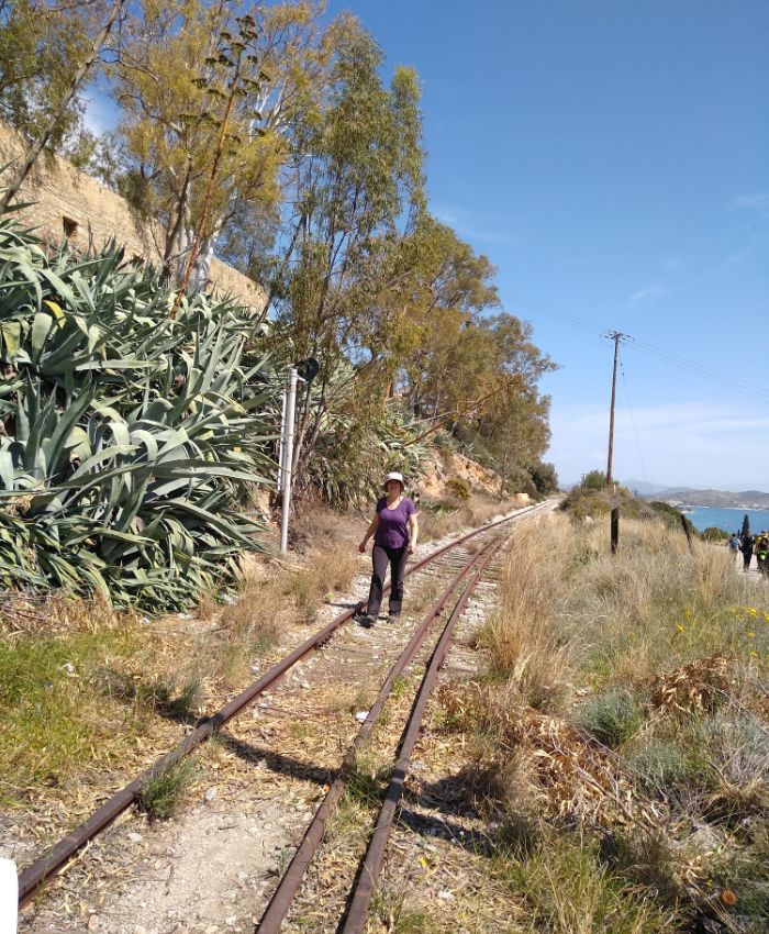 Person walking along old railway tracks surrounded by tall plants and trees, with the sea visible in the background.
