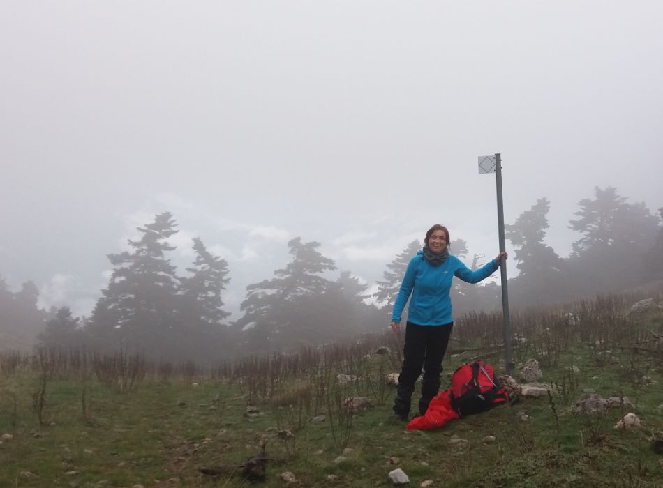 Hiker in a blue jacket standing on a foggy mountainside, with trees and mist creating a mysterious atmosphere.