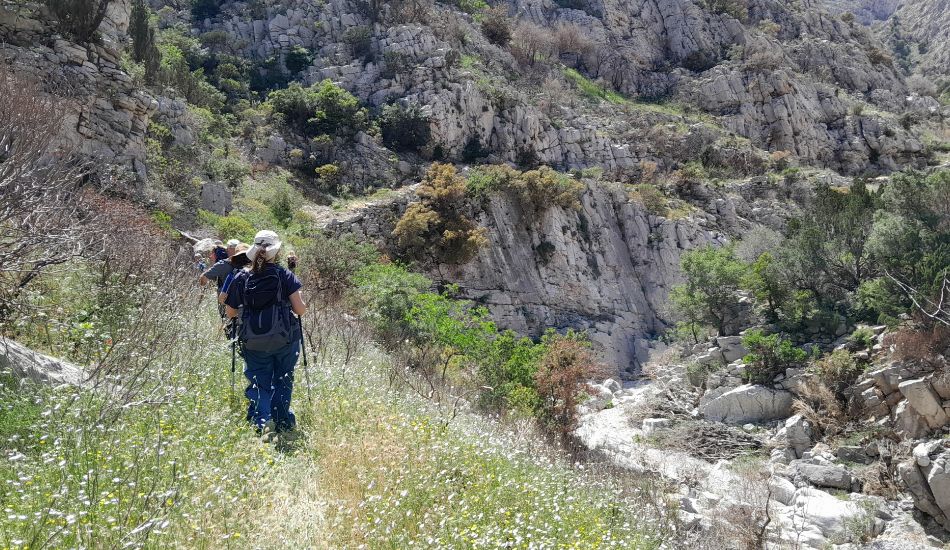 Hikers walking along a narrow path through wildflowers and rocky terrain in the Kleisoura Gorge.