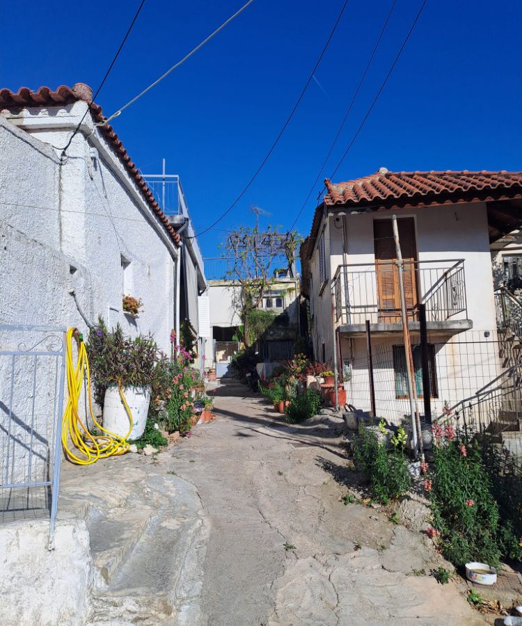 Narrow street in a Greek village with white houses and plants, under a clear blue sky.
