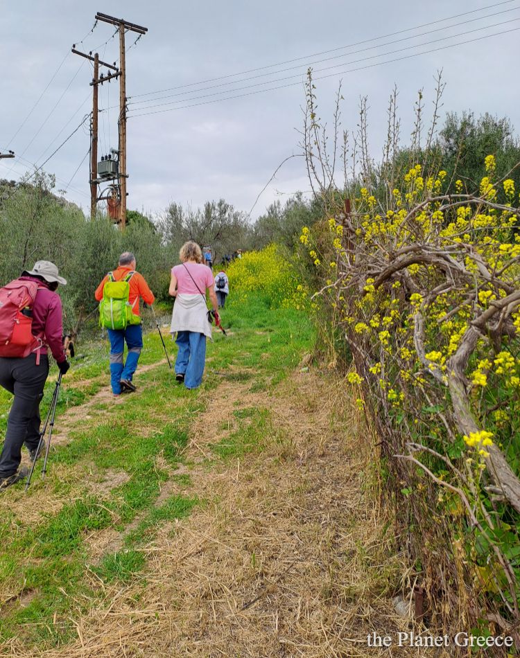 Hikers walking on a dirt trail with flowers in Greece. 