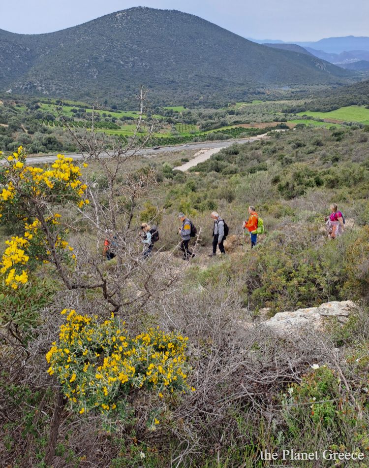 Hikers walking on a trail with yellow flowers in Greece. 