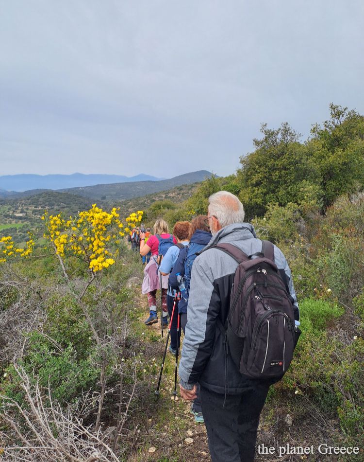 Hikers walking on a trail with yellow flowers in Greece. 