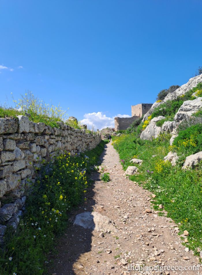 Rocky path between stone walls at Acrocorinth, surrounded by spring wildflowers and views of ancient ruins.