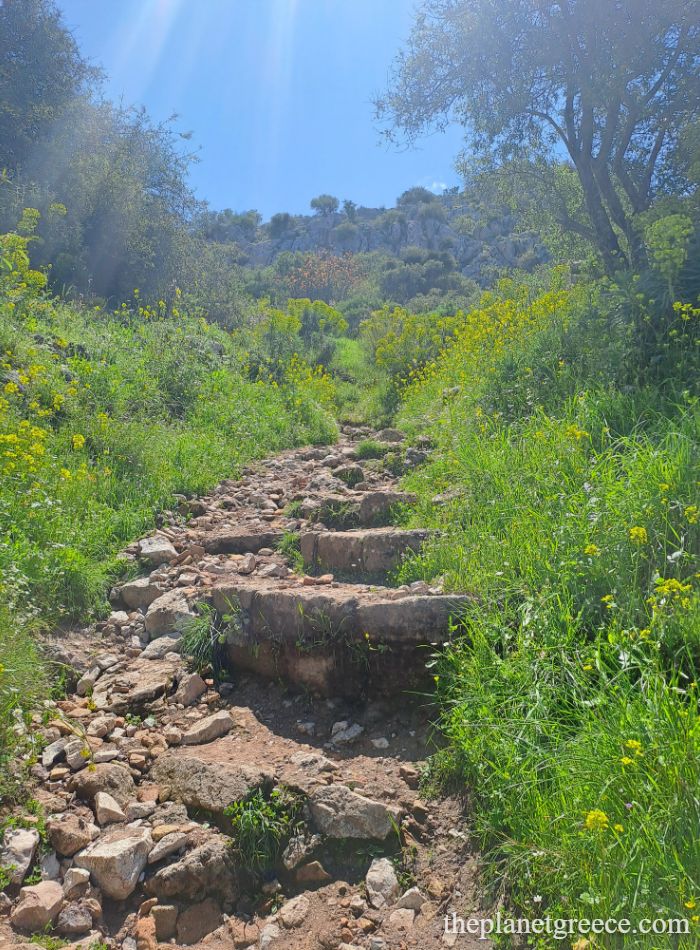 Steep stone steps surrounded by wild greenery on a sunlit hiking path at Acrocorinth.