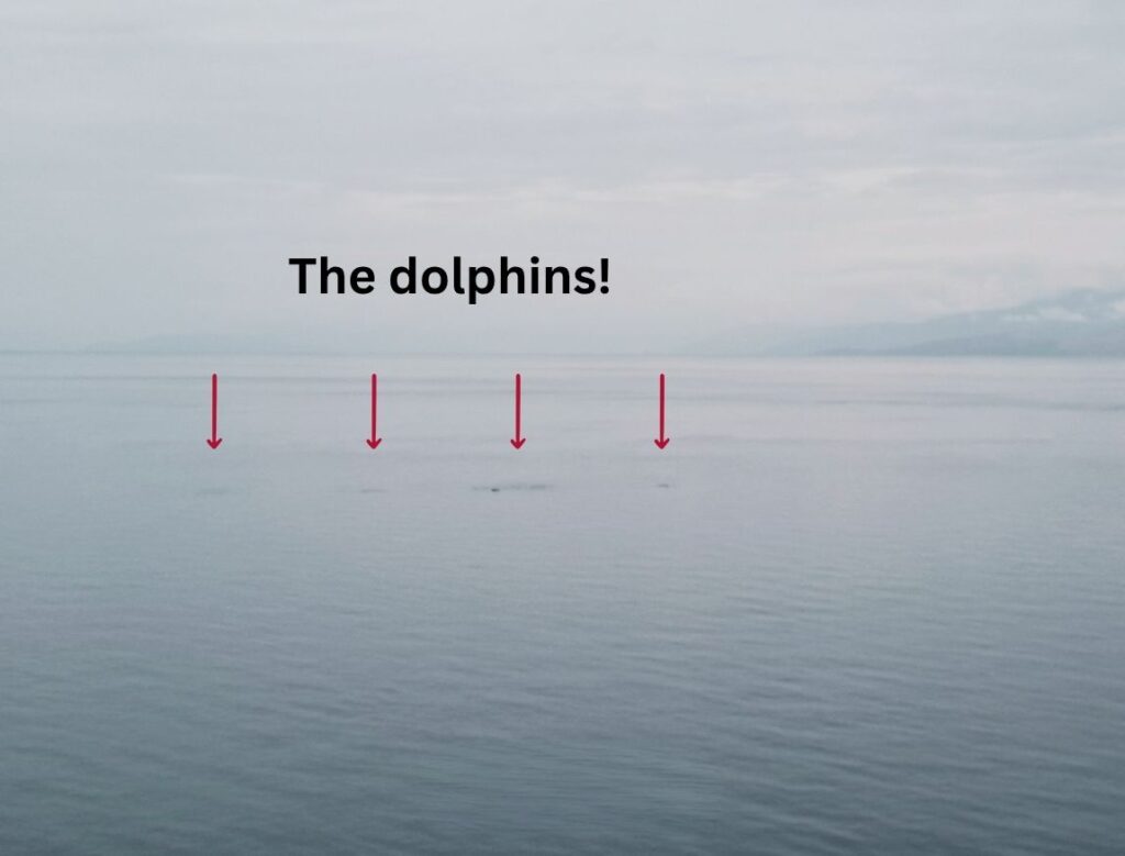 Dolphins spotted near the coast during the scenic hike to Melagkavi Lighthouse in Loutraki Greece.