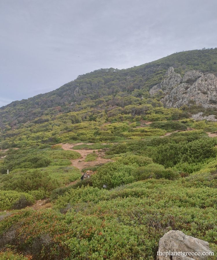 View of Gerania mountain and lush hills along the Melagkavi Lighthouse hiking trail in Loutraki Greece.