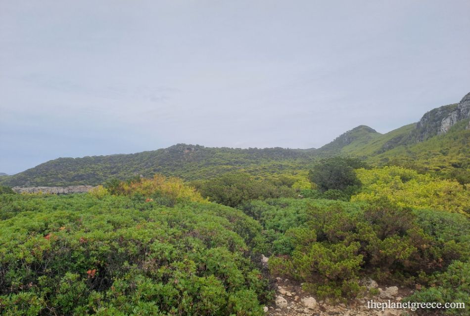 View of lush green hills and forest along the hiking trail to Melagkavi Lighthouse in Loutraki Greece.